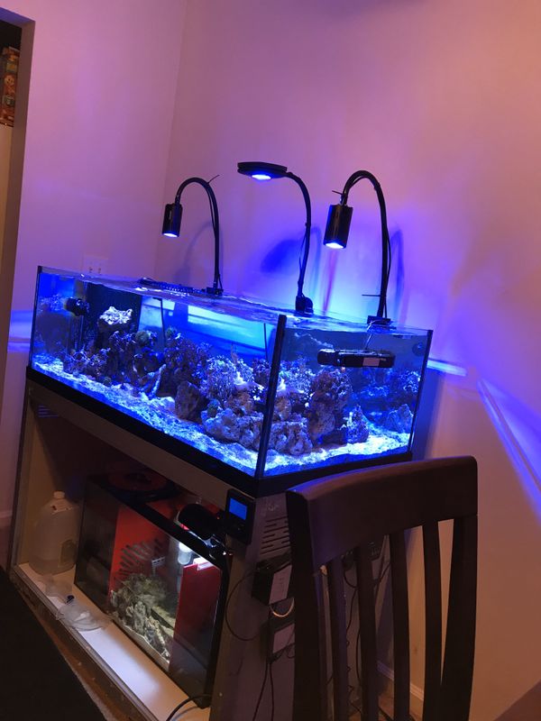 80 gallon Rimless Aquarium w kessil lights for Sale in Indianapolis, IN