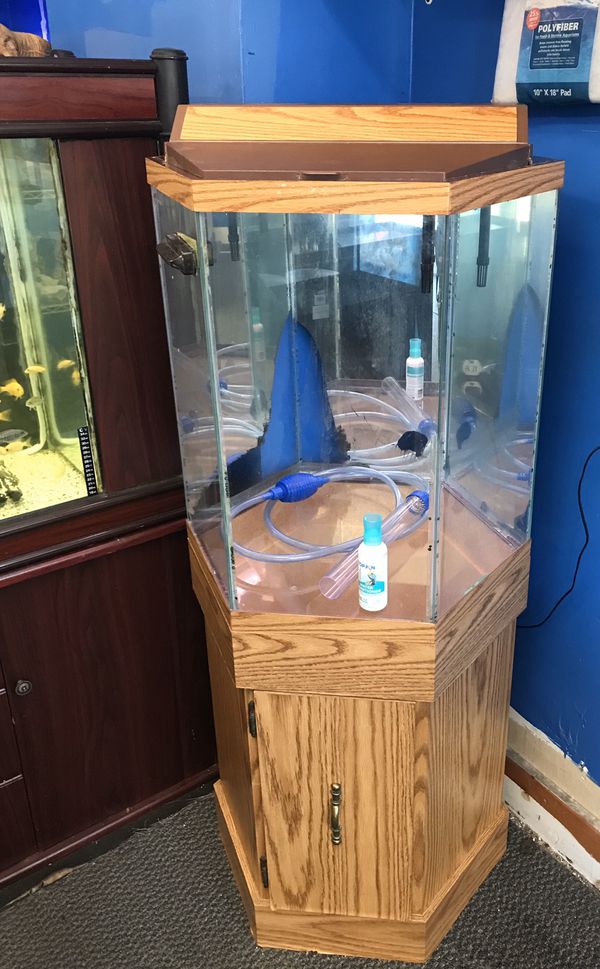 35 gallon Hexagon Aquarium fish tank complete 200 for