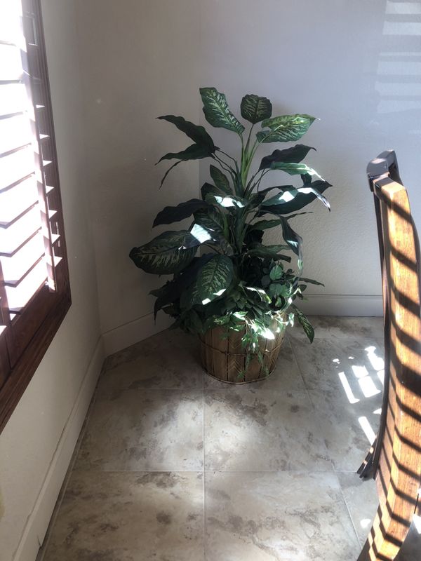 Planta artificial MPU for Sale in El Paso, TX - OfferUp