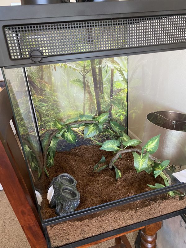 Reptile Terrarium for Sale in Peoria, AZ - OfferUp