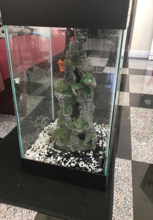 15 gallon tall fish tank for Sale in Upland, CA OfferUp