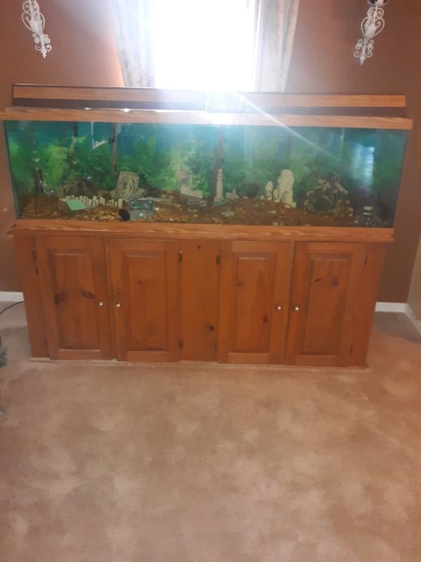 225 Gallon Fish Tank for Sale