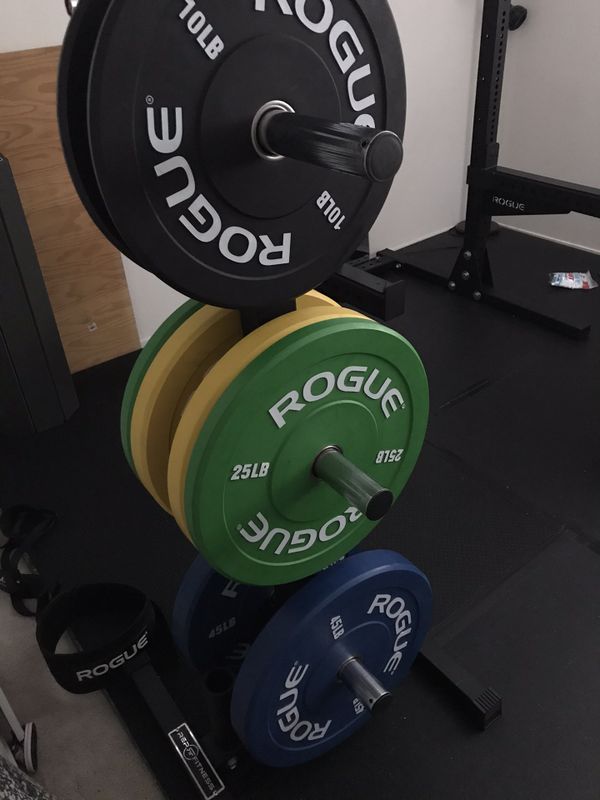 Rogue Fitness Colored Echo Bumpers with rep fitness weight tree for