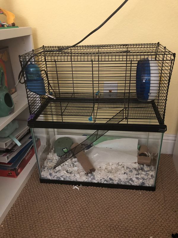 10 gallon glass hamster tank cage with wire topper and accessories for ...