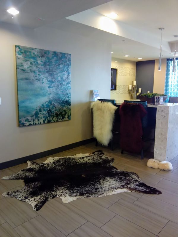 Cowhide Rug Brand New For Sale In Las Vegas Nv Offerup