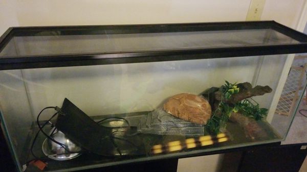 40 gallon reptile tank for Sale in Newport News, VA - OfferUp