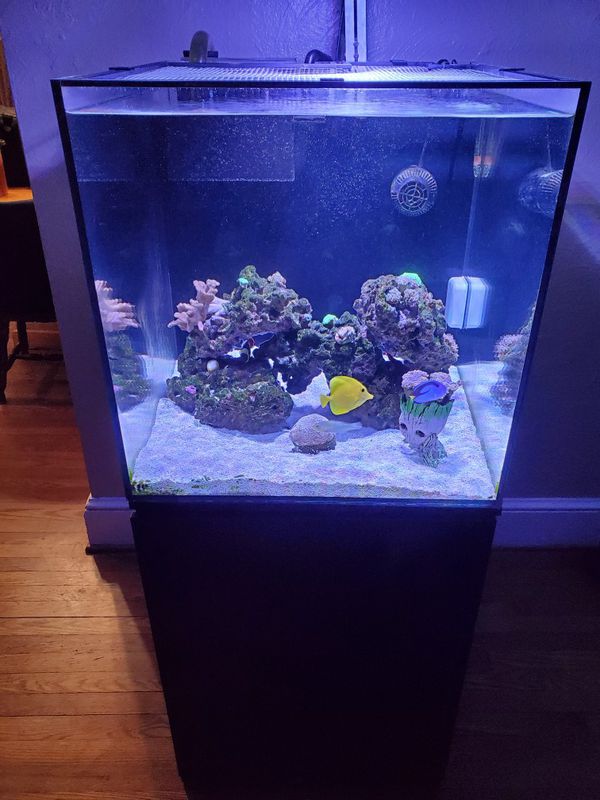 where to place wavemaker in freshwater aquarium