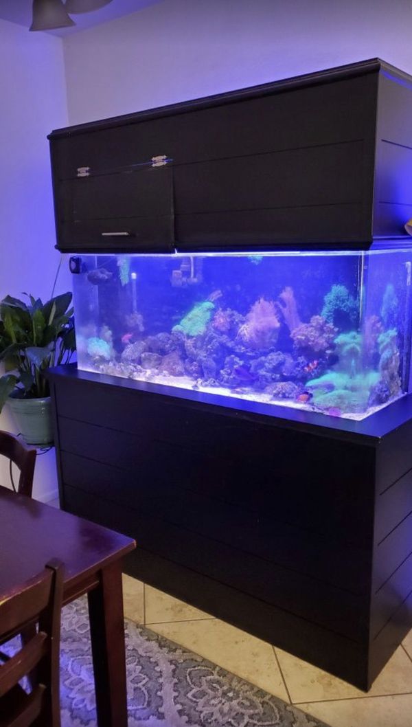 110 gallon fish tank / aquarium for Sale in Lake Forest, CA - OfferUp