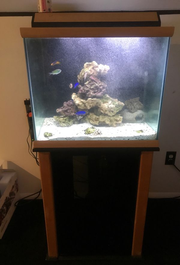 modern cube fish tank