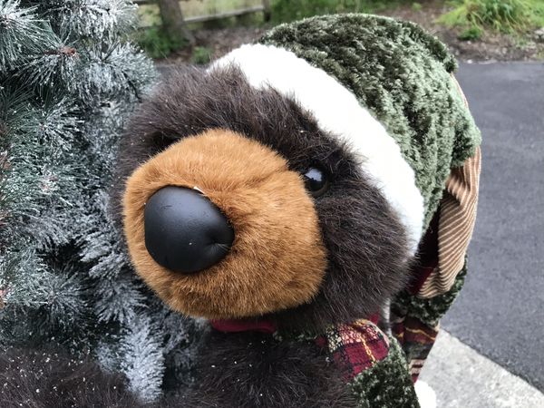 christmas hugging bear