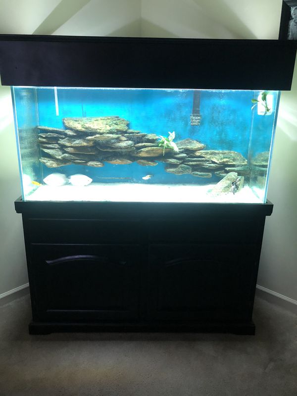 90 gallon fish tank