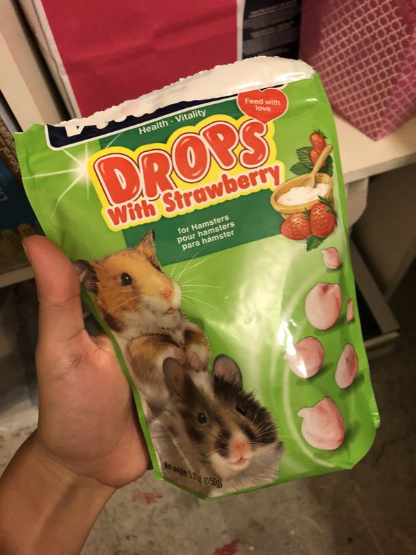 Female Long Haired Teddy Bear Hamsters for Sale in Cabazon, CA OfferUp