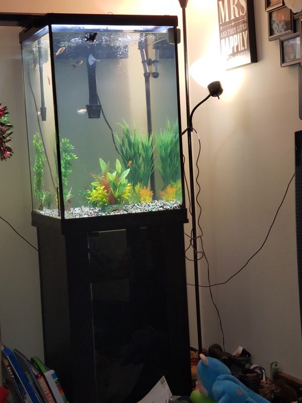 50 Gallon Fish Tank And Stand for Sale in Kansas City, MO - OfferUp