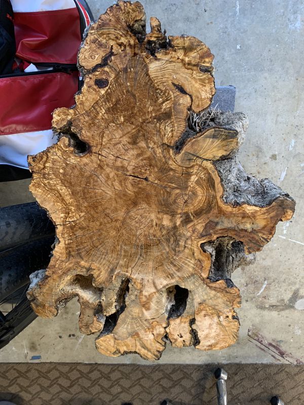 Olive Tree Stump for Sale in Dana Point, CA OfferUp