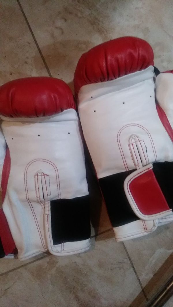 Speed Bag Boxing Gloves Literacy Basics