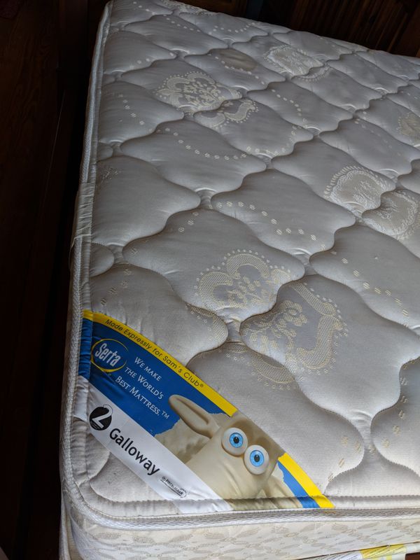 Turner Canopy Queen Bed With Serta Firm For In San Marcos Tx 600sold