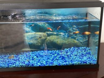 New And Used Fish Tanks For Sale In Columbus Oh Offerup