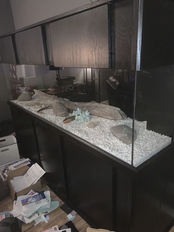 250 Gallon fish tank and base. for Sale in San Antonio, TX OfferUp