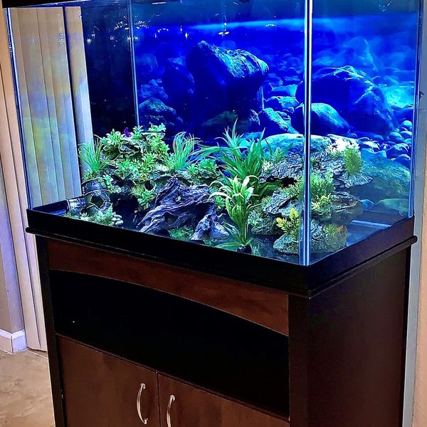 65 GALLON AQUARIUM w/cabinet And Accessories for Sale in West Palm ...