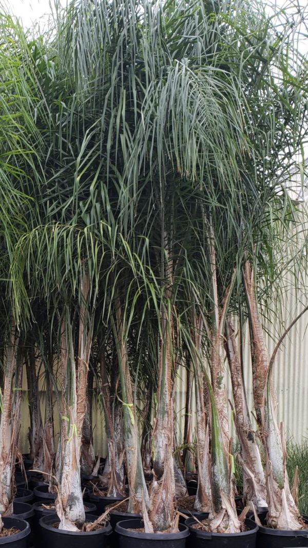 personal loans for 17 year olds