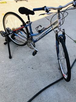 schwinn tricycle sam's club