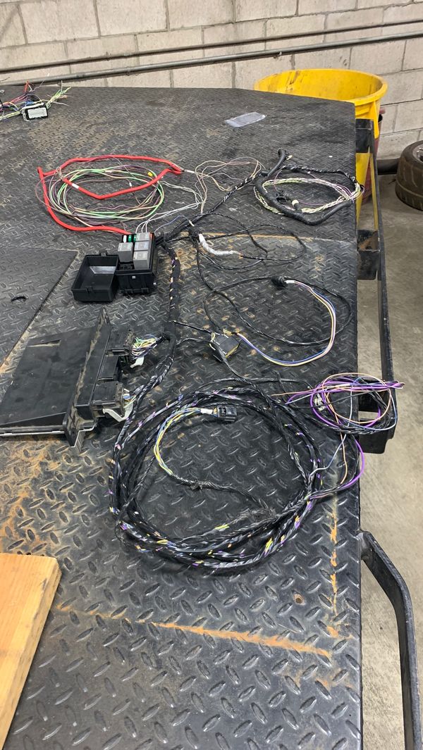 5.0 ford coyote standalone harness /engine swap harness for Sale in