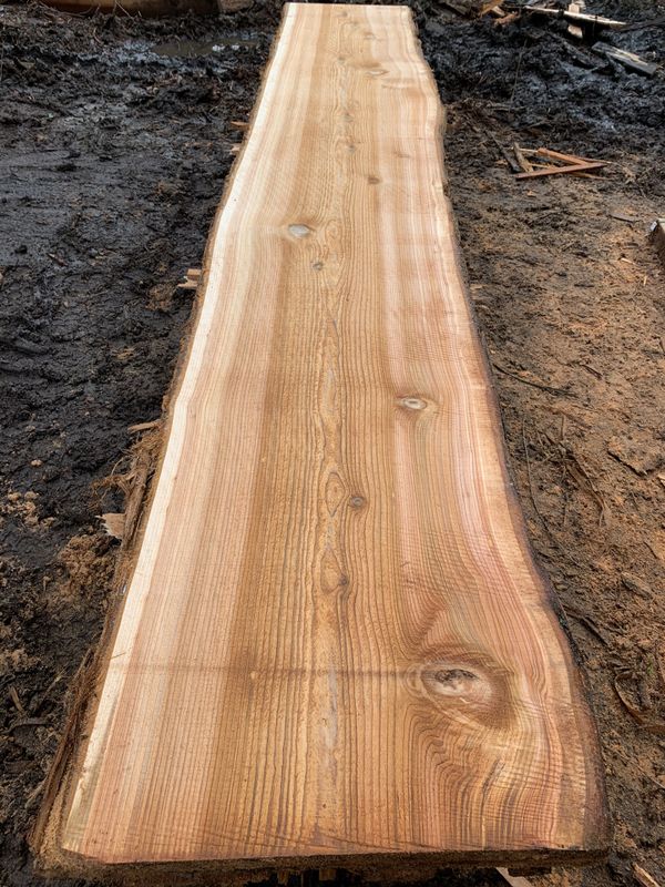 Live Edge Red Western Cedar Wood Slabs for Sale in Puyallup, WA OfferUp