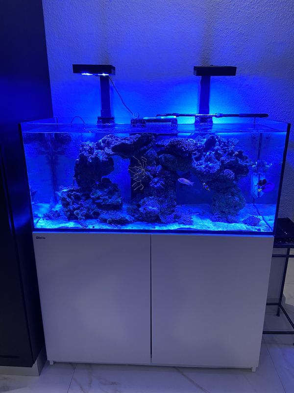 Red Sea 350 Deluxe Aquarium for Sale in Hollywood, FL - OfferUp