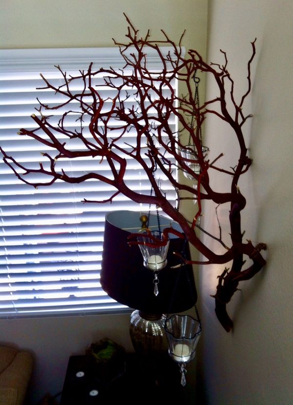 Large manzanita branches for Sale in Laguna Beach, CA OfferUp