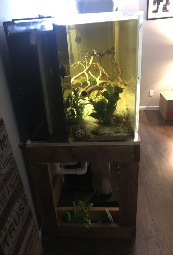 400 Gallon Aquarium for Sale in Sacramento, CA OfferUp